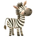 Cute baby zebra watercolor illustration Royalty Free Stock Photo