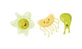 Cute Bacteria or Virus Floating and Smiling Vector Set