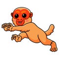 Cute bald uakari monkey cartoon walking