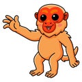 Cute bald uakari monkey cartoon waving hand