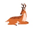 Cute bambi deer lying. Spotted reindeer sleeping. Adorable graceful fawn animal with antlers horns resting with closed