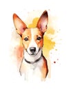 Cute Basenji puppy on white background.