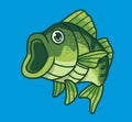 cute bass fish with a big mouth. isolated cartoon animal illustration. Flat Style Sticker Icon Design Premium Logo vector. Mascot