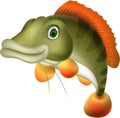 Cute bass fish cartoon Royalty Free Stock Photo