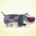 Cute Basset Hound dog cartoon. Vector illustration on white background Royalty Free Stock Photo