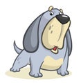 Cute Basset Hound dog cartoon. Vector illustration Royalty Free Stock Photo