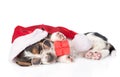 Cute basset hound puppy with red gift box and santa hat. isolated Royalty Free Stock Photo