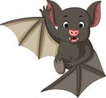 Cute bat cartoon Royalty Free Stock Photo