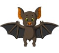 Cute bat cartoon Royalty Free Stock Photo