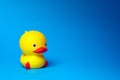 Cute Bath Duck Toy