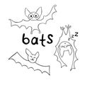 Cute bats drawn in cartoon doodle style. Vector outline illustration isolated on white background. For coloring book page, Royalty Free Stock Photo