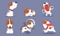 Cute Beagle Dog Collection, Funny Adorable Pet Animal Character in Different Situations Vector Illustration Royalty Free Stock Photo