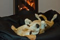 A cute beagle dog lays lazy and relaxed in front of a fireplace
