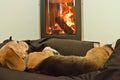 A cute beagle dog lays lazy and relaxed in front of a fireplace