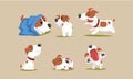 Cute Beagle Dog in Various Poses Collection, Funny Purebred Pet Animal Cartoon Character in Different Situations Vector Royalty Free Stock Photo