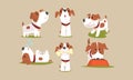 Cute Beagle Dog in Various Poses Collection, Funny Purebred Pet Animal Cartoon Character Vector Illustration