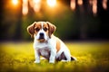 Cute Beagle puppy outdoors. Beagle breed. Color grading generative ai, a hunting dog