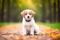 Cute Beagle puppy outdoors. Beagle breed. Color grading generative ai, a hunting dog