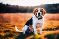 Cute Beagle puppy outdoors. Beagle breed. Color grading generative ai, a hunting dog