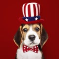 Cute Beagle puppy in Uncle Sam hat and bow tie Royalty Free Stock Photo