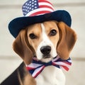 Cute Beagle in Uncle Sam hat against grey background. The 4th of July, Independence Day of USA Royalty Free Stock Photo