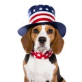 Cute Beagle in Uncle Sam hat against white background. The 4th of July, Independence Day of USA Royalty Free Stock Photo