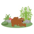 Cute bear animal cartoon illustration design