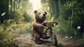 cute bear on bicycle. Biking bear bicycle riding cute animal in the forest