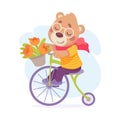 Cute Bear Character Ride Bicycle Carry Flowers Vector Illustration