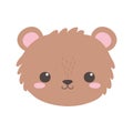 Cute bear little face animal cartoon isolated white background design