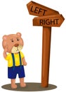 Cute bear lost direction Royalty Free Stock Photo