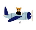 Cute Bear Pilot Flying on Retro Plane in the Sky, Humanized Animal Character Piloting Airplane Vector Illustration