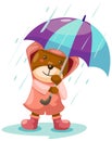 Cute bear in rain with umbrella