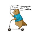 Cute bear on scooter, thank you illustration, vector clipart with cartoon character Royalty Free Stock Photo