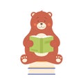 Cute bear sitting on books pile and reading Royalty Free Stock Photo