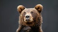 Cute Bear Thinking And Confused . Generative Ai Royalty Free Stock Photo