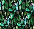 Cute beautiful abstract lovely mexican tropical floral herbal green set of a cactus paint like child pattern on dark background ve