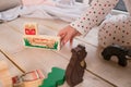 Colorful Animal Theme Urban Toys.child playing with toy ,made of wooden blocks on wooden texture floor indoors in his Royalty Free Stock Photo