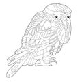 Cute beautiful  bird owl. Black and white background. Funny creature, coloring book pages. Hand drawn illustration in zentangle Royalty Free Stock Photo