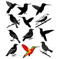 Cute And Beautiful Birds Vector Silhouette