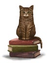 Cute beautiful brown gray striped cartoon cat that sits on a stack of books and looks at the camera