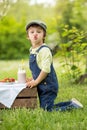 Cute beautiful child, boy, eating strawberries and in the park Royalty Free Stock Photo