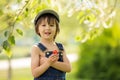 Cute beautiful child, boy, eating strawberries and in the park Royalty Free Stock Photo