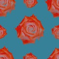 Cute beautiful colorful roses. Seamless floral photo background. Digital mixed media artwork for wrapping paper, wallpaper design Royalty Free Stock Photo