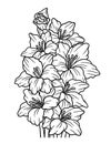 Gladioli Flower Coloring Page for Adults Royalty Free Stock Photo