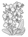 Orchid Flower Coloring Page for Adults