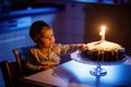 Cute beautiful little baby girl celebrating first birthday. Child blowing one candle on homemade baked cake, indoor Royalty Free Stock Photo