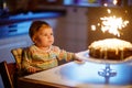 Cute beautiful little baby girl celebrating first birthday. Child blowing one candle on homemade baked cake, indoor Royalty Free Stock Photo