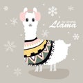 Cute and beautiful llamas with snow