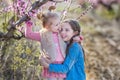 Cute beautiful stylish dressed brunette and blond girls sisters standing on a field of spring young peach tree with pink Royalty Free Stock Photo